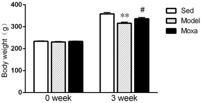 Moxibustion Reduces Inflammatory Response in the Hippocampus of a Chronic Exercise-Induced Fatigue Rat